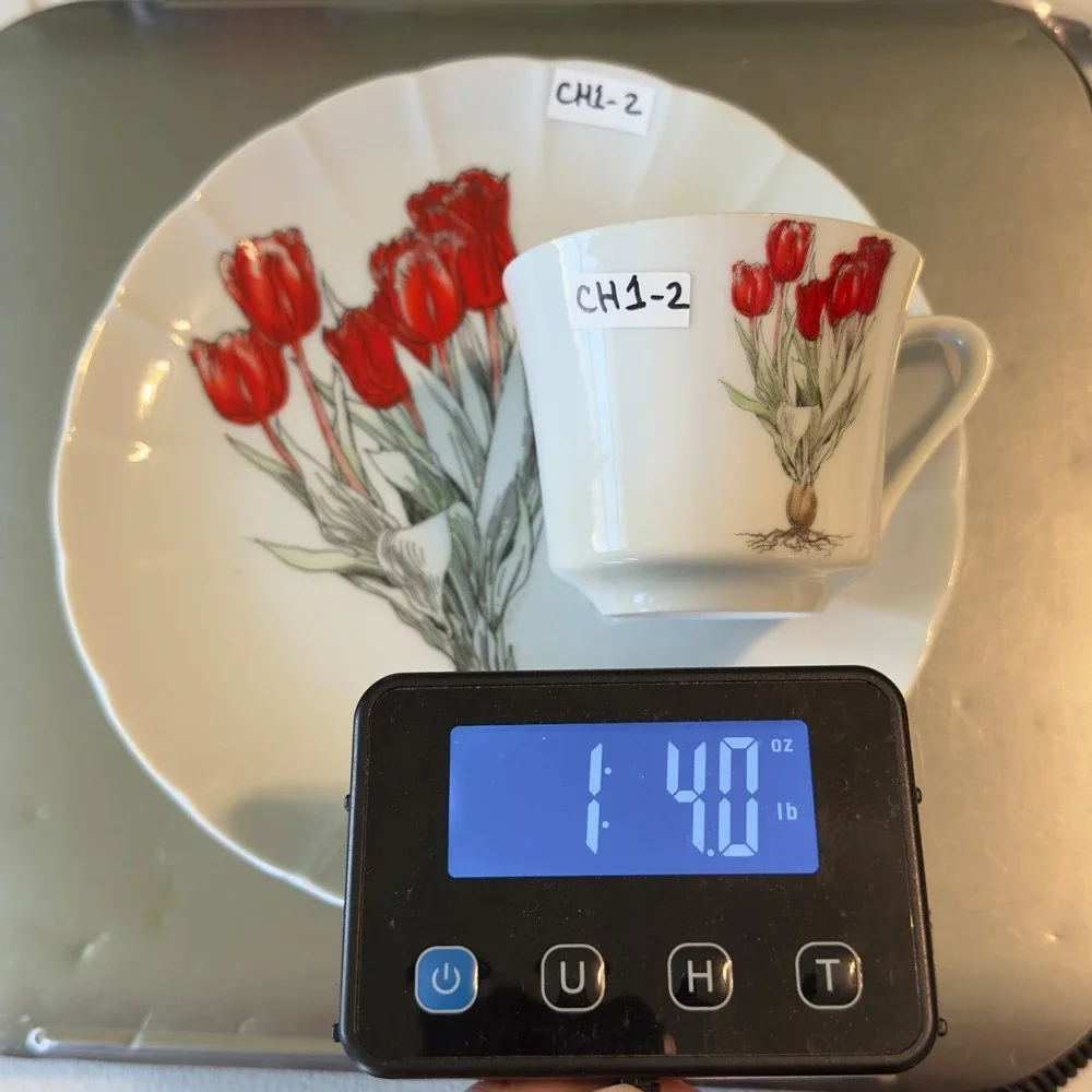 Mann Fine China Red Tulip Botanical Snack Set Cup and Scalloped Plate Vintage
